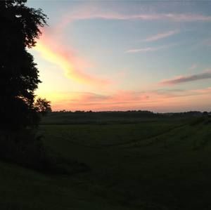 Meet your Posher, Allen